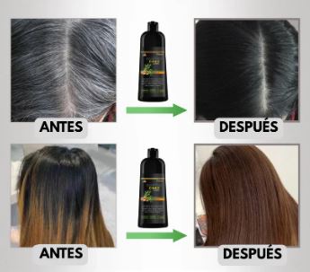 SHAMPOO CHAO CANAS +TRATMIENTO