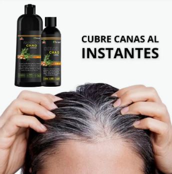 SHAMPOO CHAO CANAS +TRATMIENTO